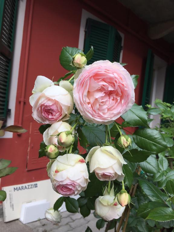 B&B Arcobaleno Alessandria Eksteriør bilde